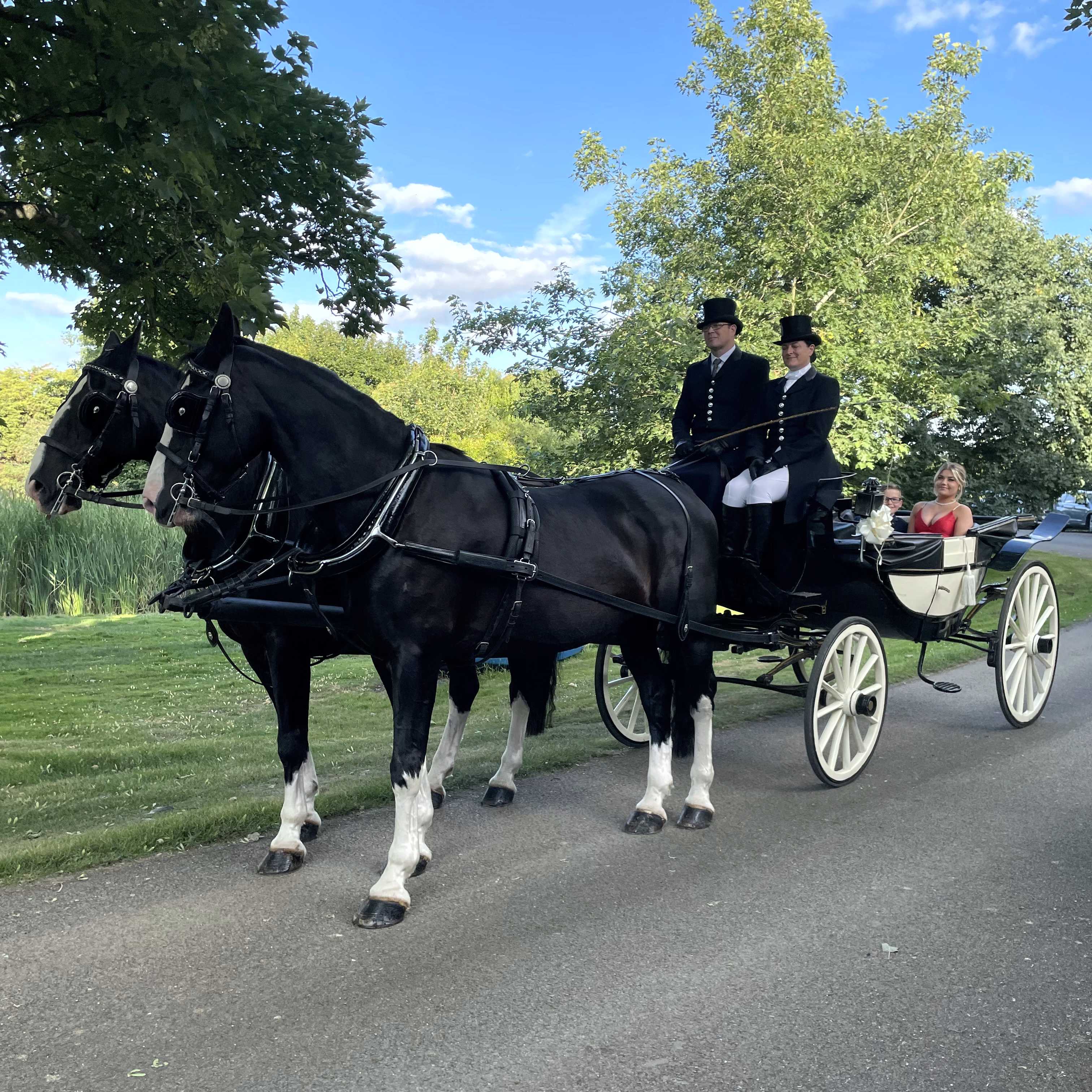 Bourne Year 11 Prom 02 IMG_E6015